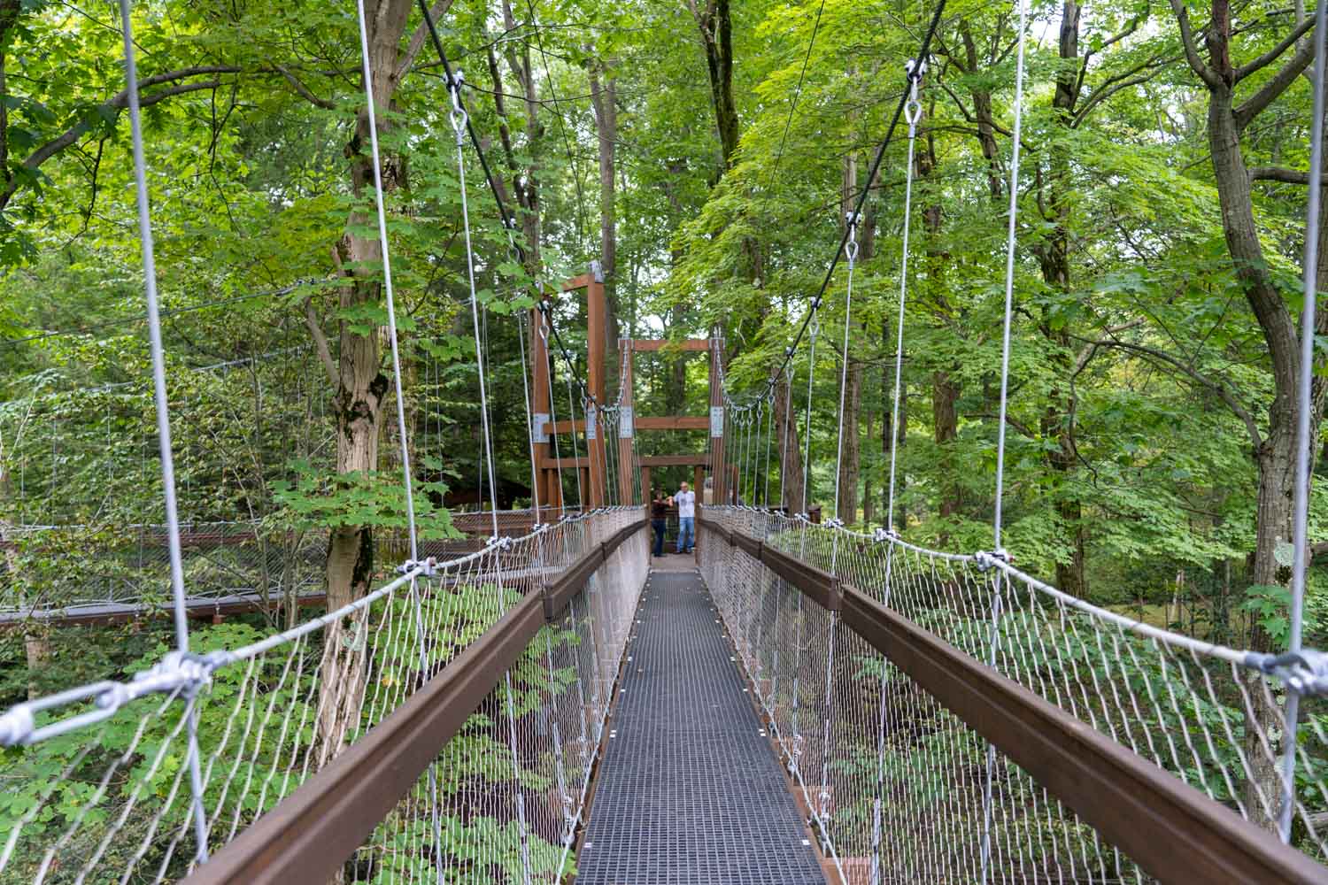 5 Things to Do at the Holden Arboretum near Cleveland, Ohio