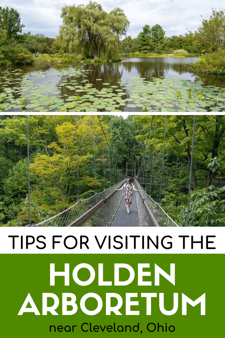 5 Things to Do at the Holden Arboretum near Cleveland, Ohio