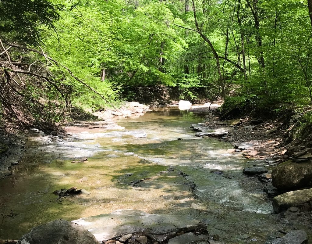 Creek along the Buckeye Trail