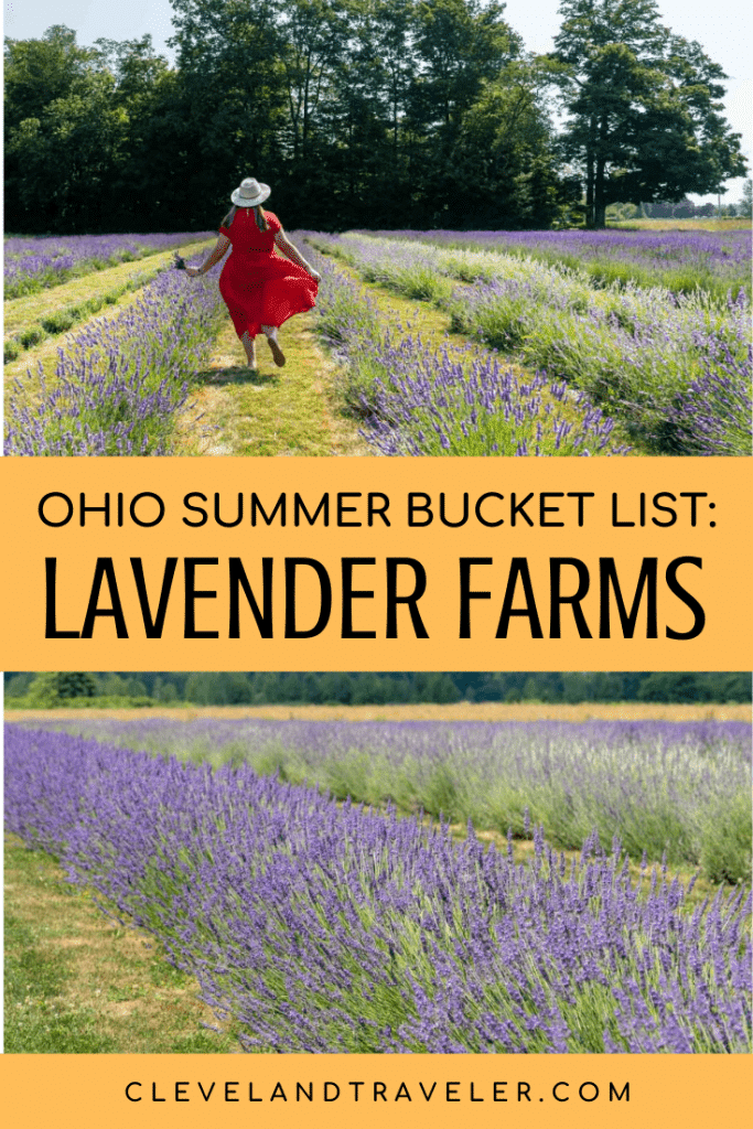 Visiting an Ohio lavender farm