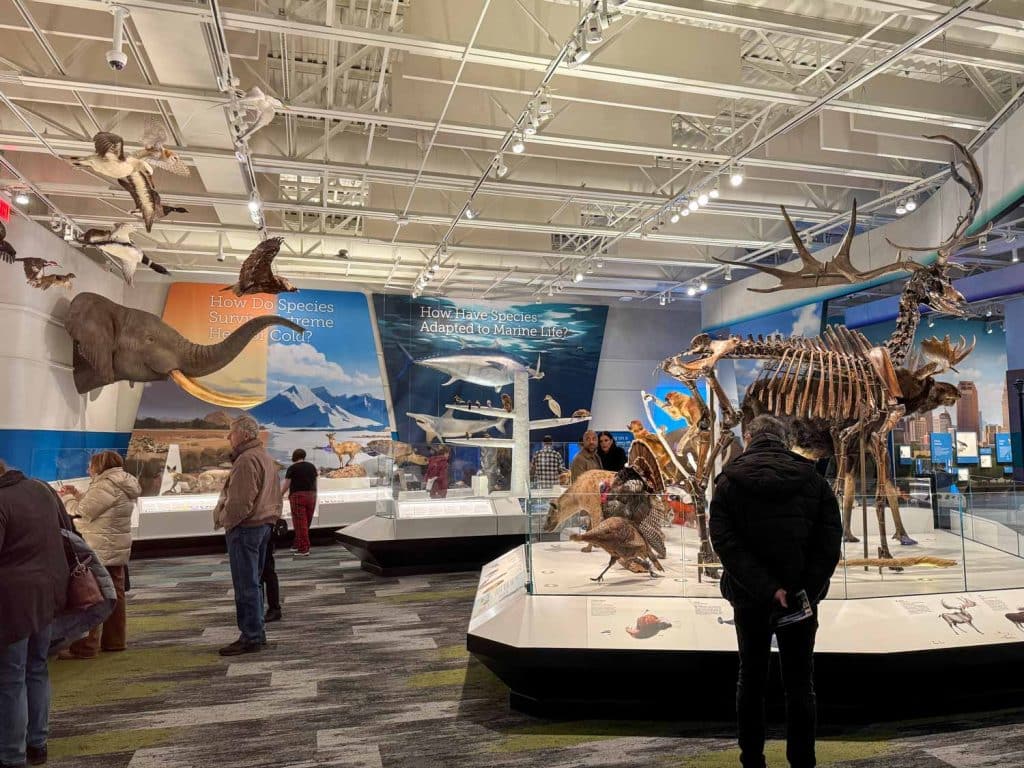 CMNH Evolving Life wing