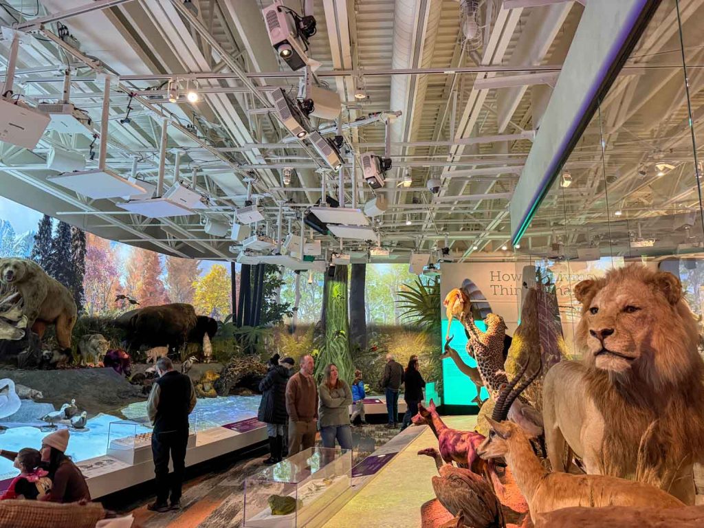 CMNH Evolving Life wing