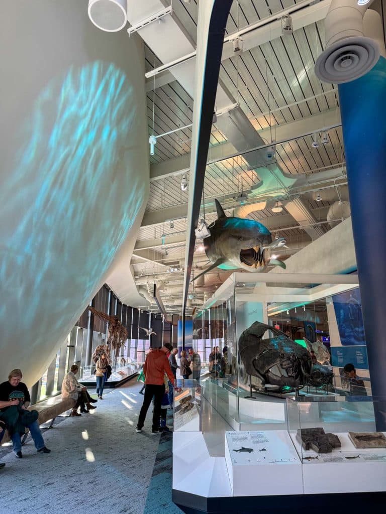 CMNH Dynamic Earth wing