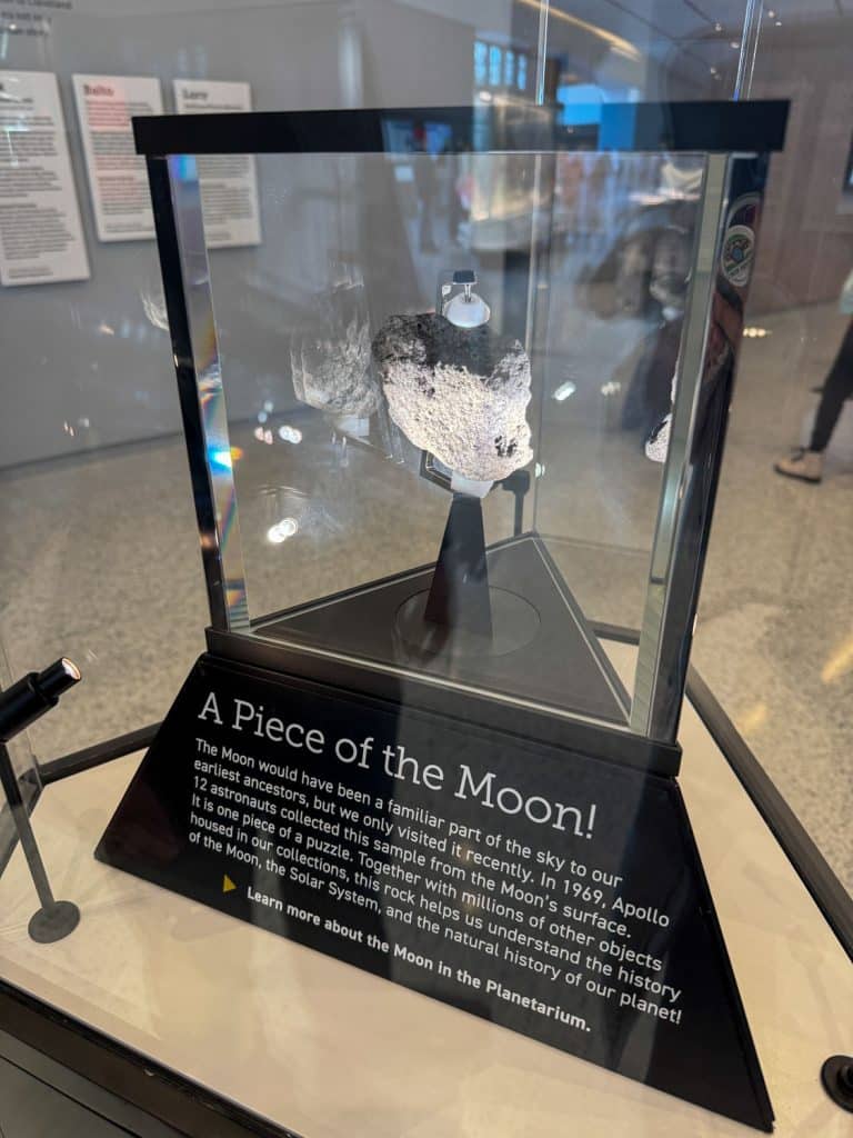 Moon rock at CMNH
