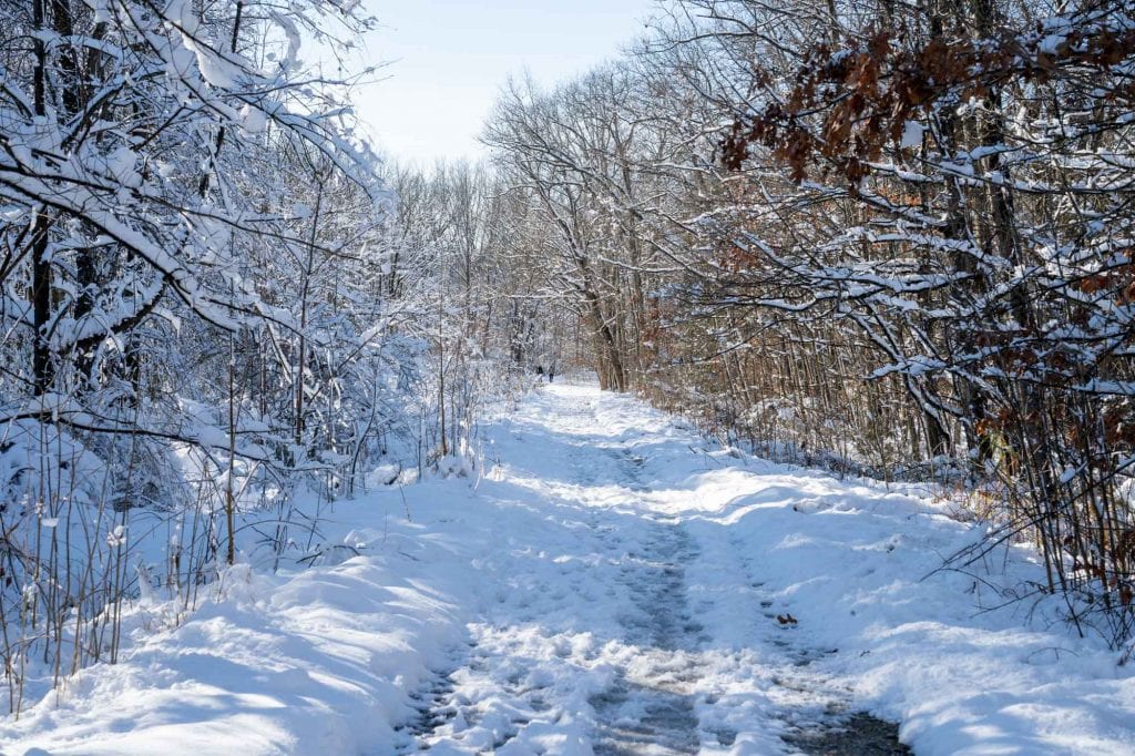 CVNP trail in winter