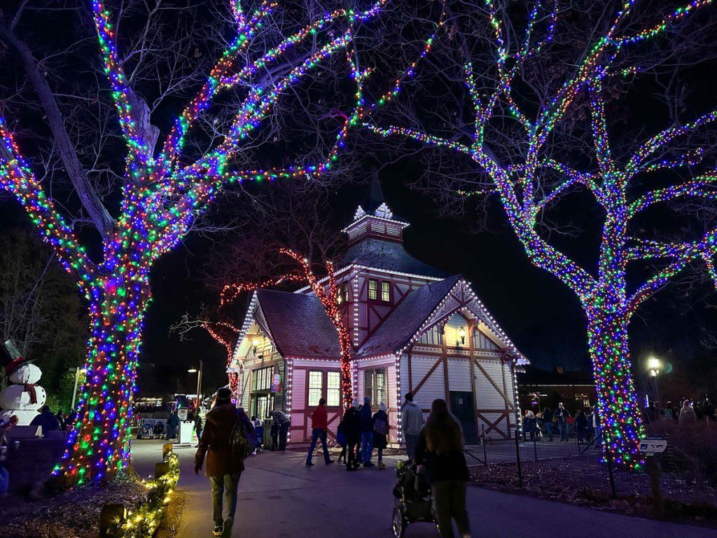 Wild Winter Lights 2022