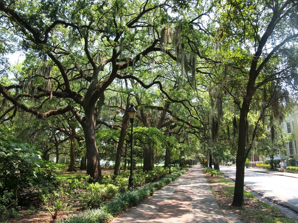 Sidewalk in Savannah, Georgia