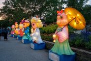 Asian Lantern Festival At The Cleveland Zoo A Complete Guide