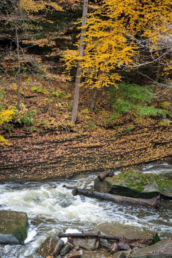 12 Beautiful Places to See the Best Fall Color in Cleveland
