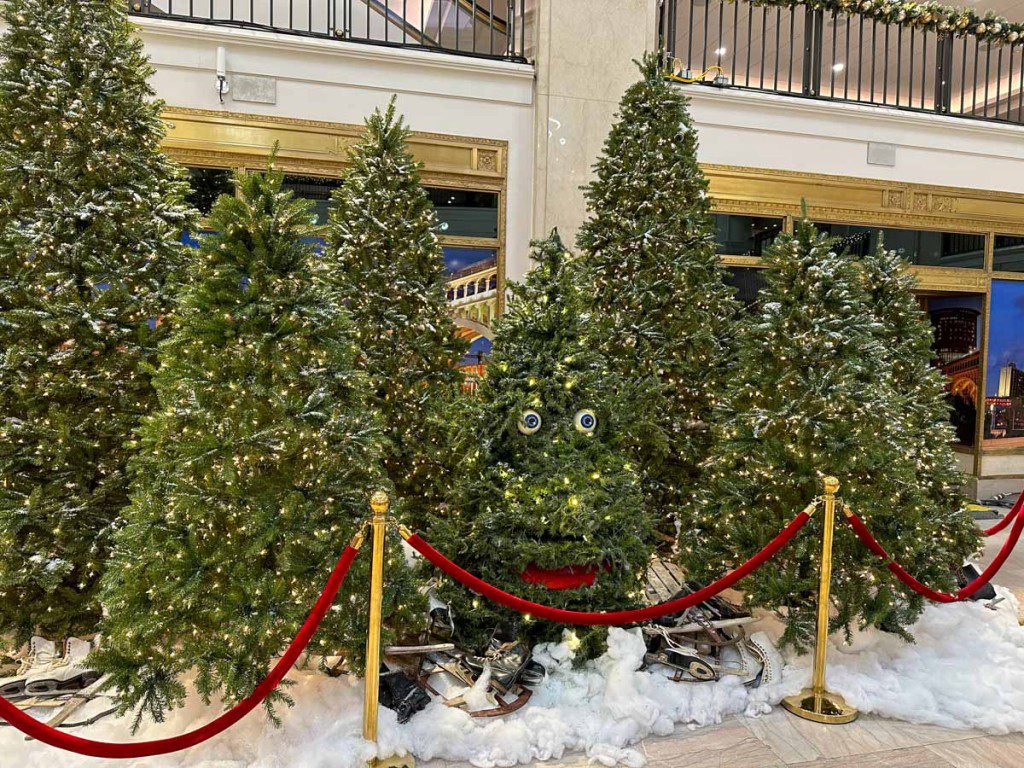 Bruce the Spruce in Tower City