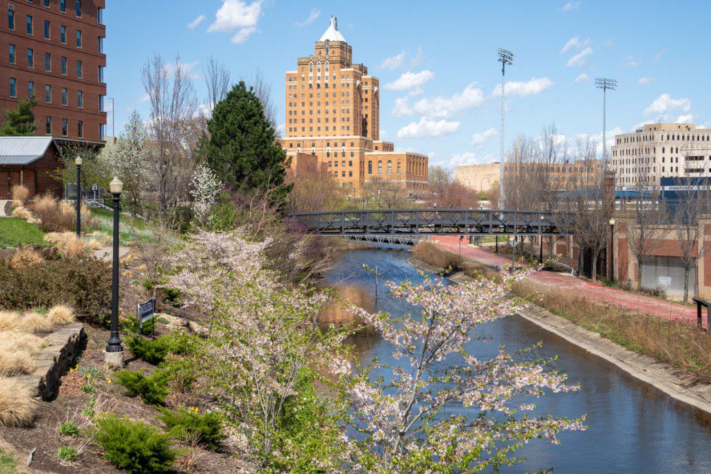 Cherry blossoms and city views in Akron