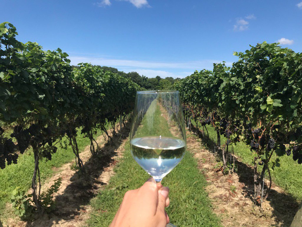 Wine Tasting Outside of Cleveland
