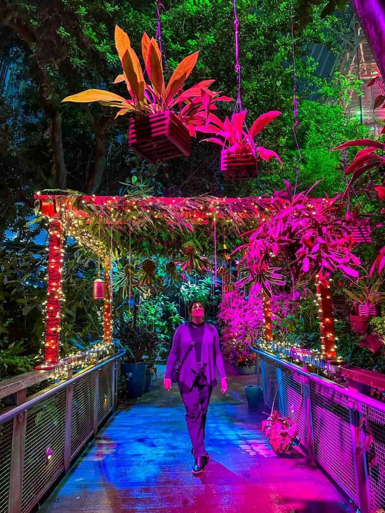 FROST winter show at the Cleveland Botanical Garden