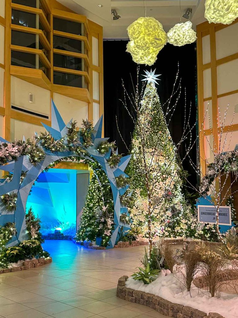 FROST winter show at the Cleveland Botanical Garden