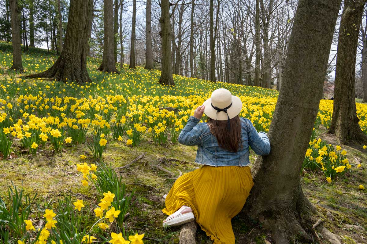 Amanda at Daffodil Hill