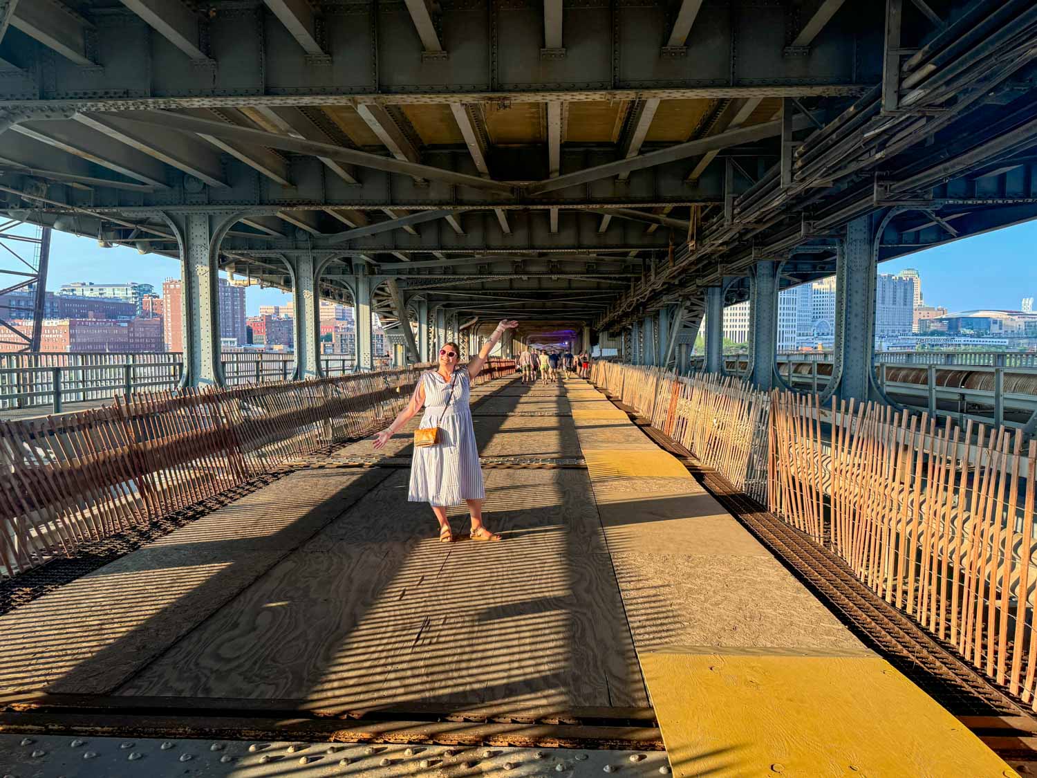 Veterans Memorial Bridge Streetcar Level