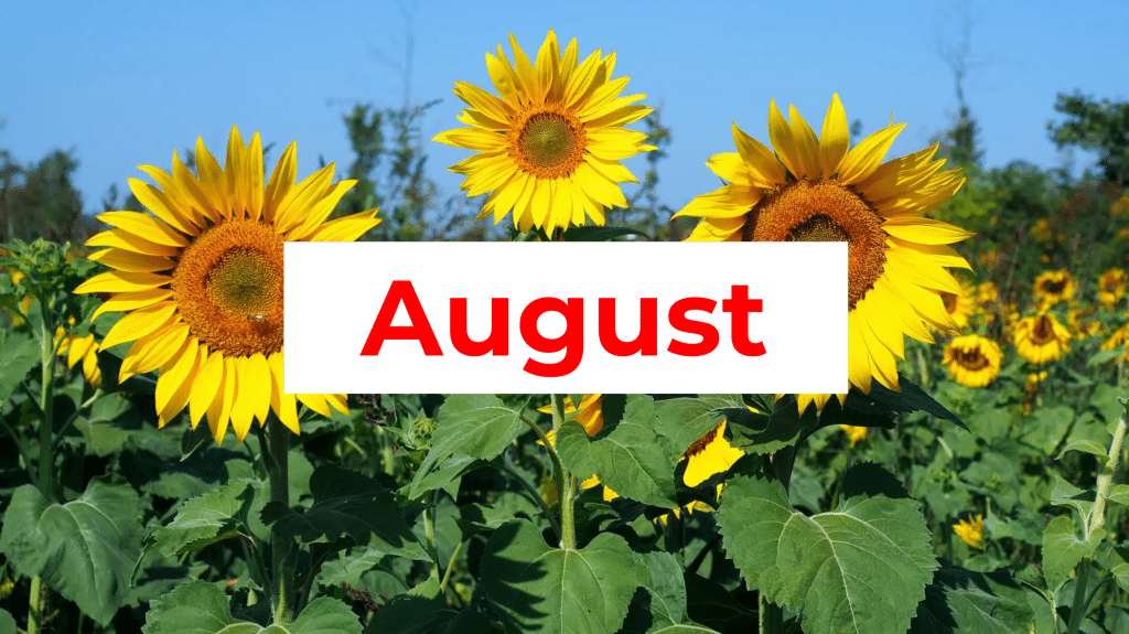 Things to do in Cleveland in August