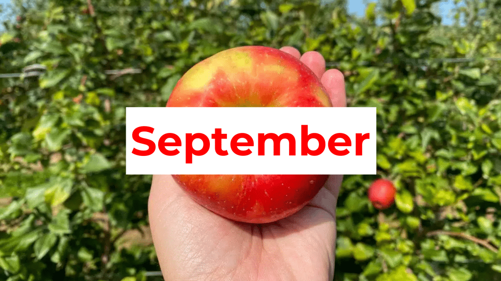 Things to do in Cleveland in September