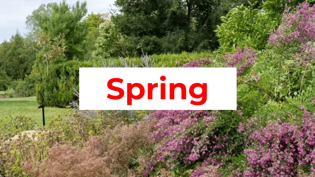Cleveland in spring guide