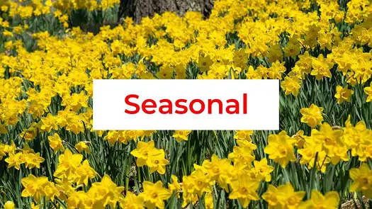 Seasonal guides to Cleveland