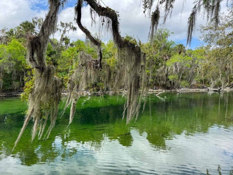 Blue Spring State Park