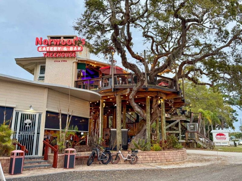 Norwood's Treehouse Bar